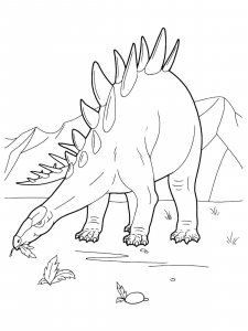 Stegosaurus coloring page - picture 28