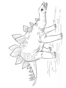 Stegosaurus coloring page - picture 8