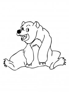 Sun Bear coloring page - picture 3
