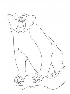 Sun Bear coloring page - picture 5