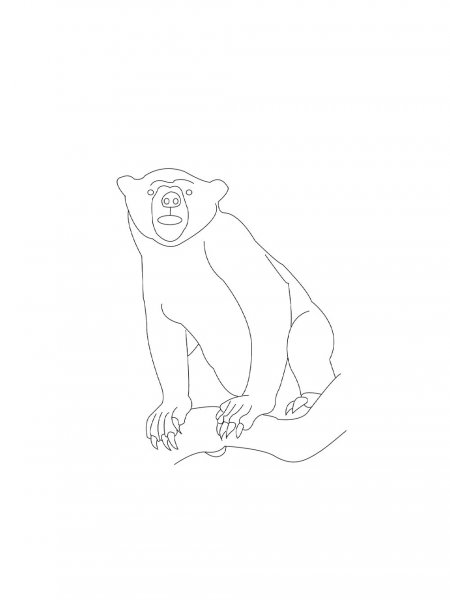 Sun Bear coloring pages