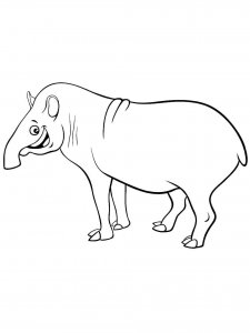 Tapir coloring page - picture 1