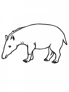 Tapir coloring page - picture 15