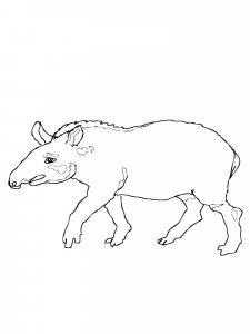 Tapir coloring page - picture 16