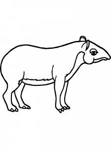 Tapir coloring page - picture 17