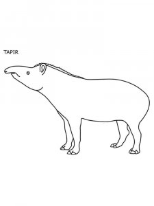 Tapir coloring page - picture 18