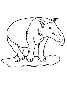 Tapir coloring page - picture 4