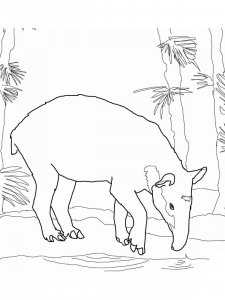 Tapir coloring page - picture 5