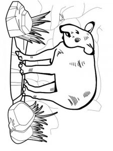 Tapir coloring page - picture 6