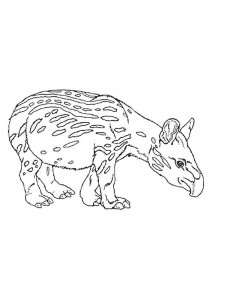 Tapir coloring page - picture 8