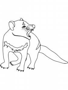Tasmanian Devil coloring page - picture 1