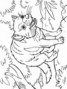 Tasmanian Devil coloring page - picture 6