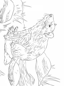Tasmanian Devil coloring page - picture 8