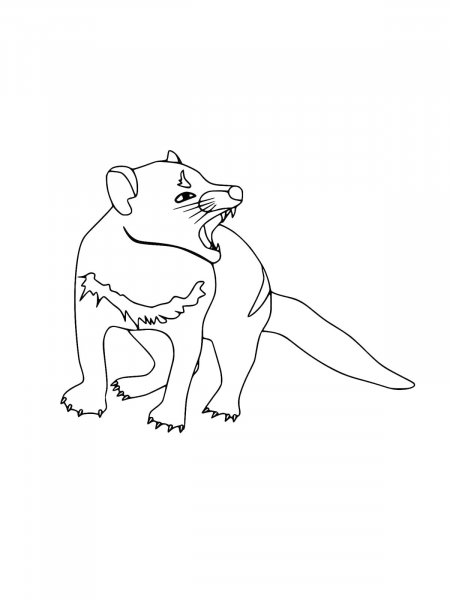 Tasmanian Devil coloring pages