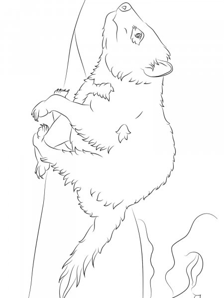 Tasmanian Devil coloring pages