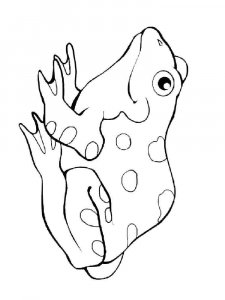 Toad coloring page - picture 1