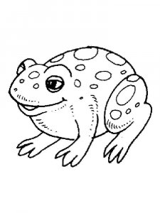 Toad coloring page - picture 3