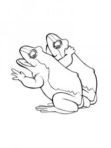 Toad coloring page - picture 4