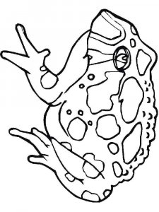 Toad coloring page - picture 6