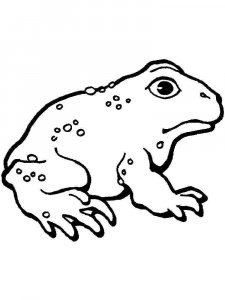 Toad coloring page - picture 7