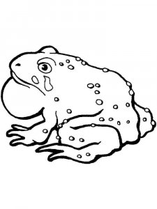 Toad coloring page - picture 9