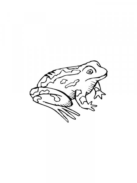 Toad coloring pages