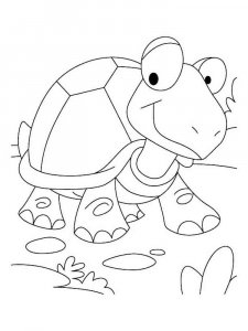 Tortoise coloring page - picture 12