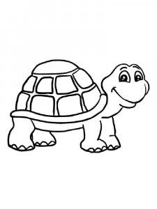 Tortoise coloring page - picture 14