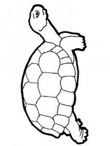 Tortoise coloring page - picture 2