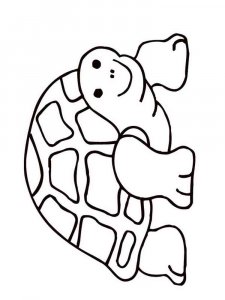 Tortoise coloring page - picture 3