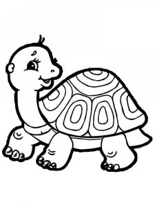 Tortoise coloring page - picture 8