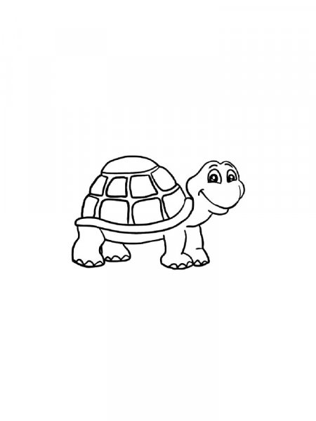 Tortoise coloring pages