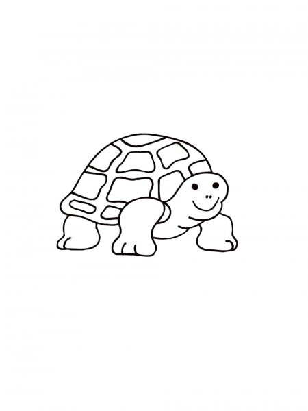 Tortoise coloring pages