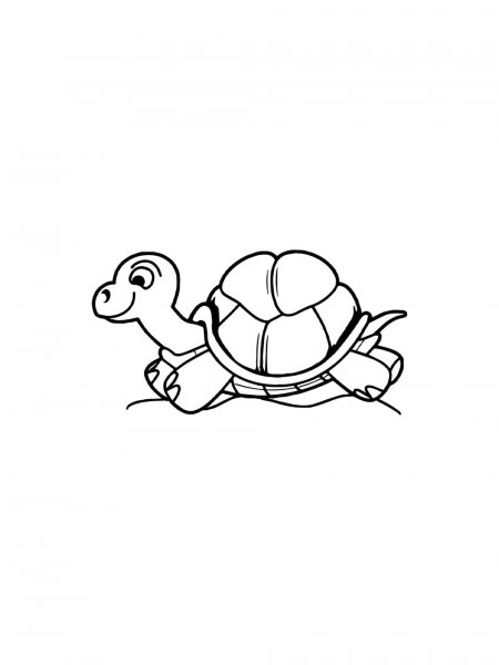 Tortoise Coloring Pages