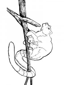 Tree Kangaroo coloring page - picture 2