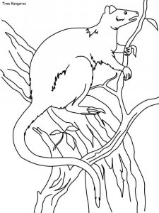 Tree Kangaroo coloring page - picture 4