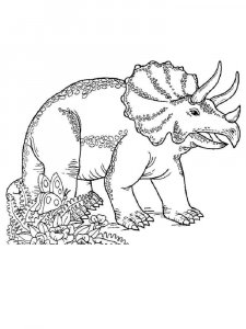 Triceratops coloring page - picture 3