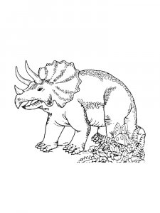 Triceratops Coloring Pages 64