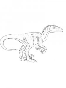 Velociraptor coloring page - picture 10