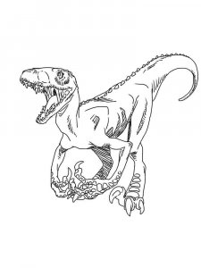 Velociraptor coloring page - picture 13