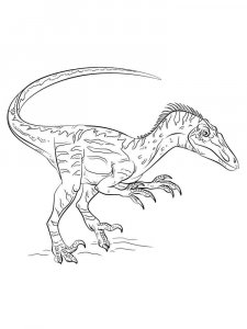 Velociraptor coloring page - picture 3