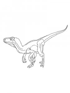 Velociraptor coloring page - picture 4