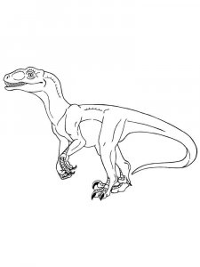 Velociraptor coloring page - picture 7