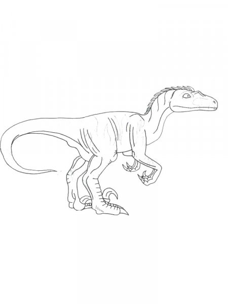 Velociraptor coloring pages