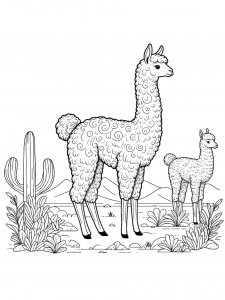 Vicuna Coloring Pages 13