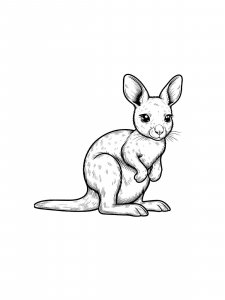 Wallaby Coloring Pages 15