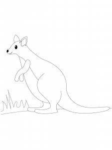 Wallaby coloring page - picture 3