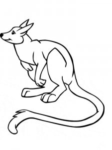 Wallaby coloring page - picture 6