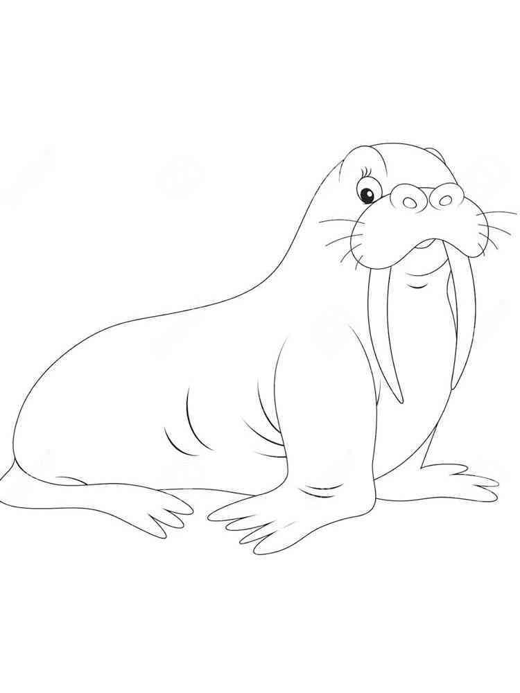 Download Free Walrus coloring pages. Download and print Walrus coloring pages