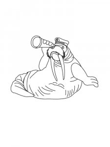Walrus coloring page - picture 14